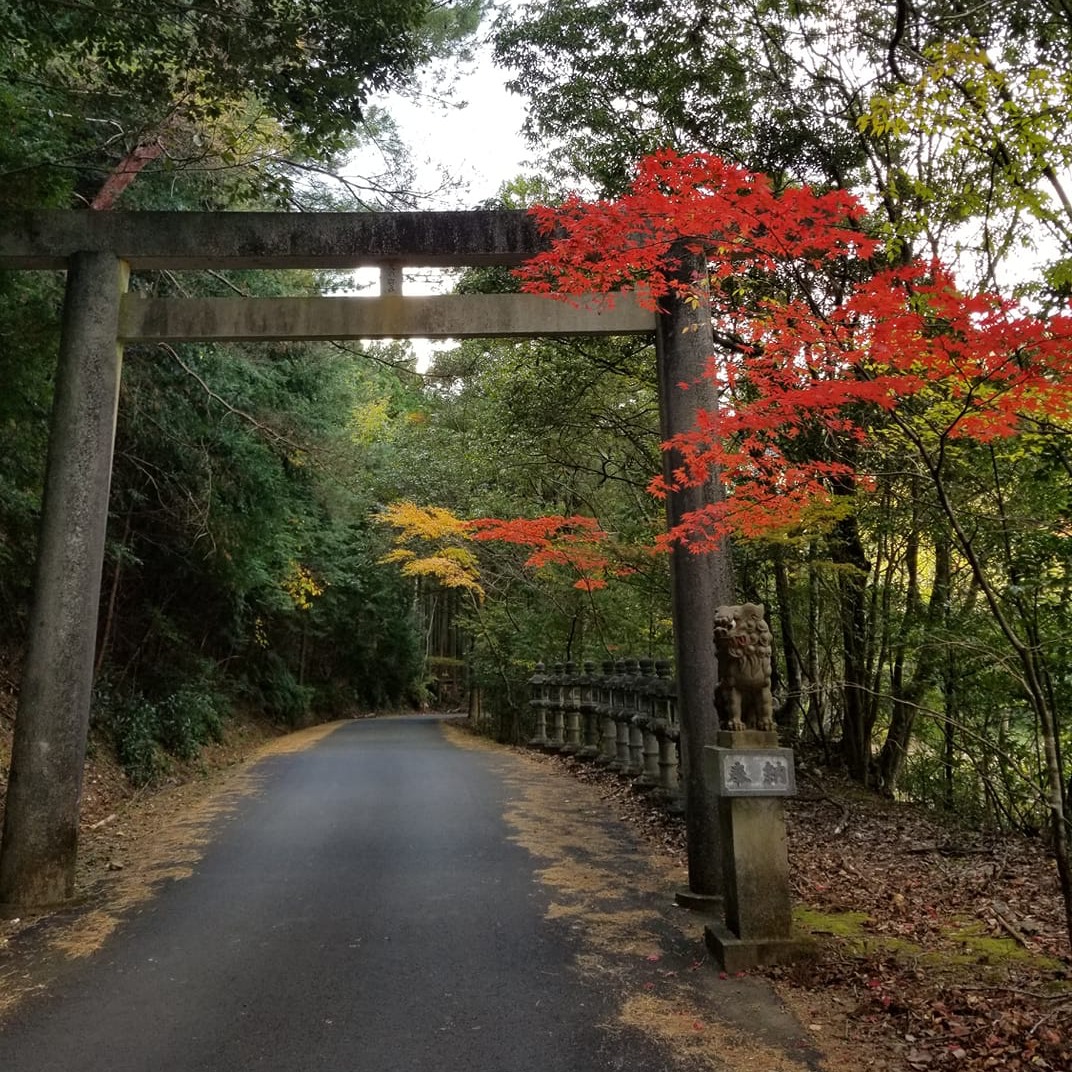 『玉置神社・闇の奥③』